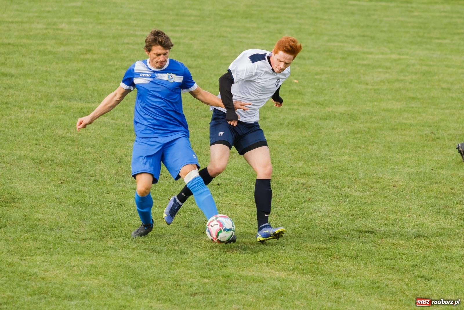 Zdjęcie w galerii na portalu naszraciborz.pl: B klasa. Wilczek pokąsał Ocice [FOTO] wiadomości z regionu