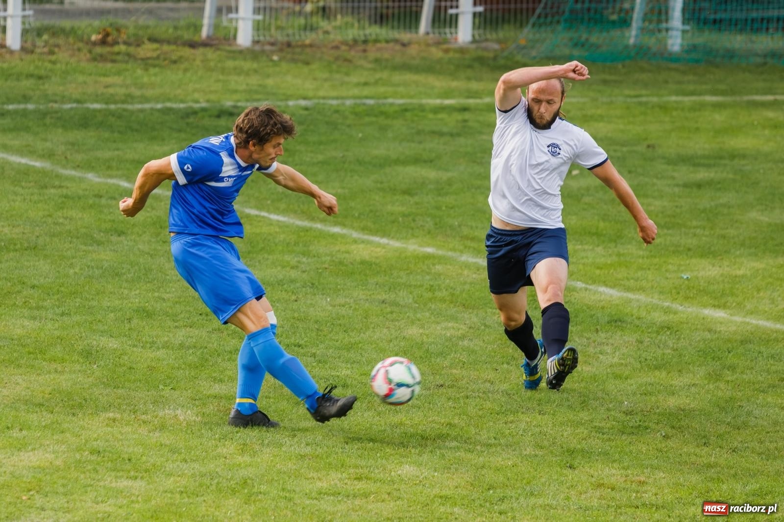 Zdjęcie w galerii na portalu naszraciborz.pl: B klasa. Wilczek pokąsał Ocice [FOTO] wiadomości z regionu