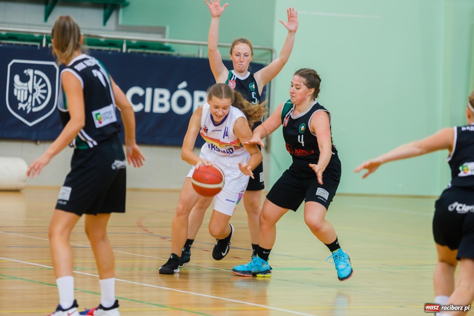 Zdjęcie w galerii na portalu naszraciborz.pl: Koszykarki RKK w walce o Puchar Rektora PWSZ [FOTO i WIDEO] wiadomości z regionu