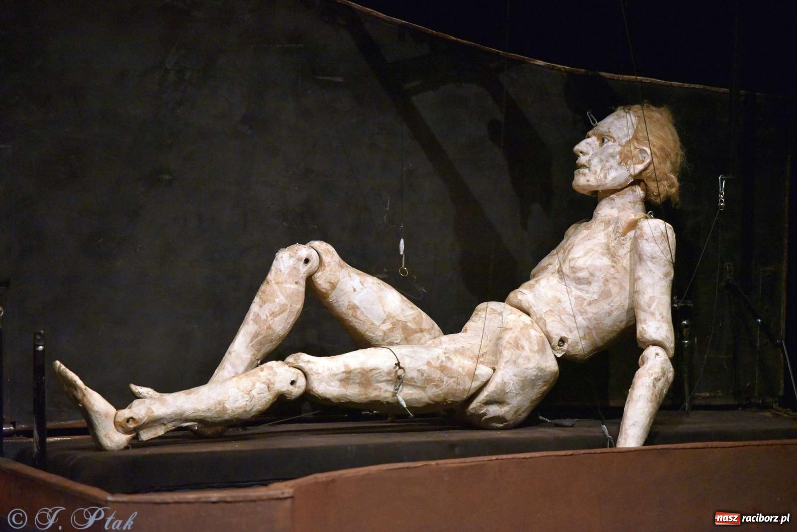 Zdjęcie w galerii na portalu naszraciborz.pl: GOULD, Bach i nadmarioneta na scenie RCK wiadomości z regionu