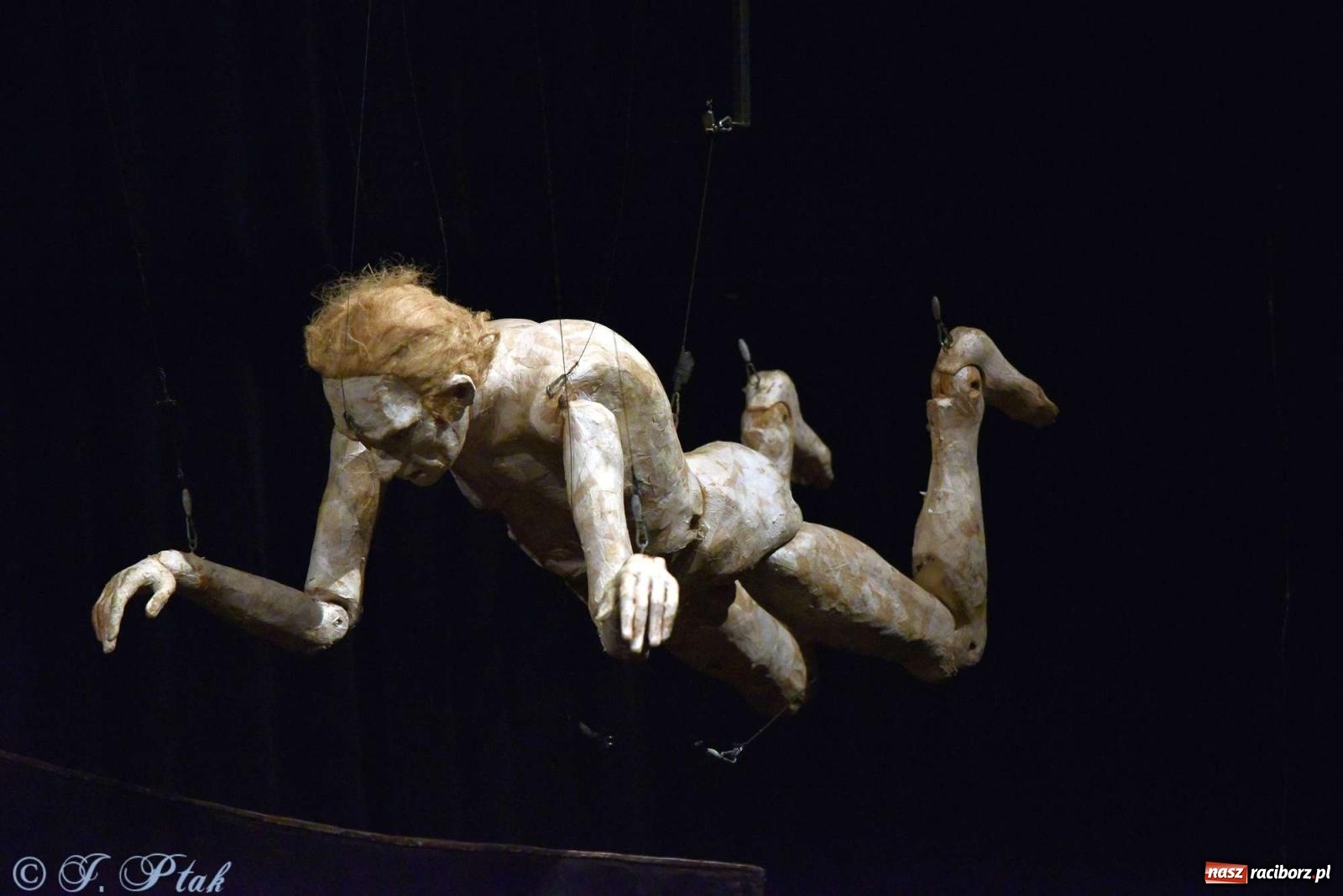 Zdjęcie w galerii na portalu naszraciborz.pl: GOULD, Bach i nadmarioneta na scenie RCK wiadomości z regionu