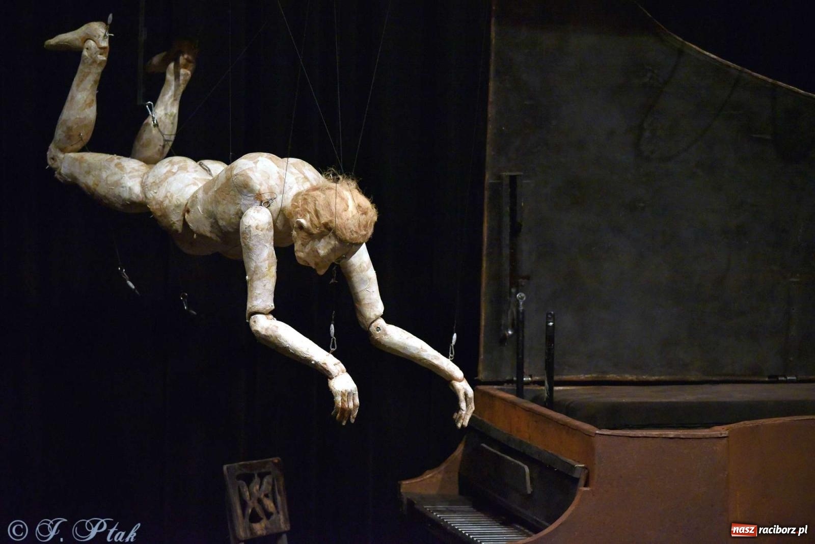 Zdjęcie w galerii na portalu naszraciborz.pl: GOULD, Bach i nadmarioneta na scenie RCK wiadomości z regionu