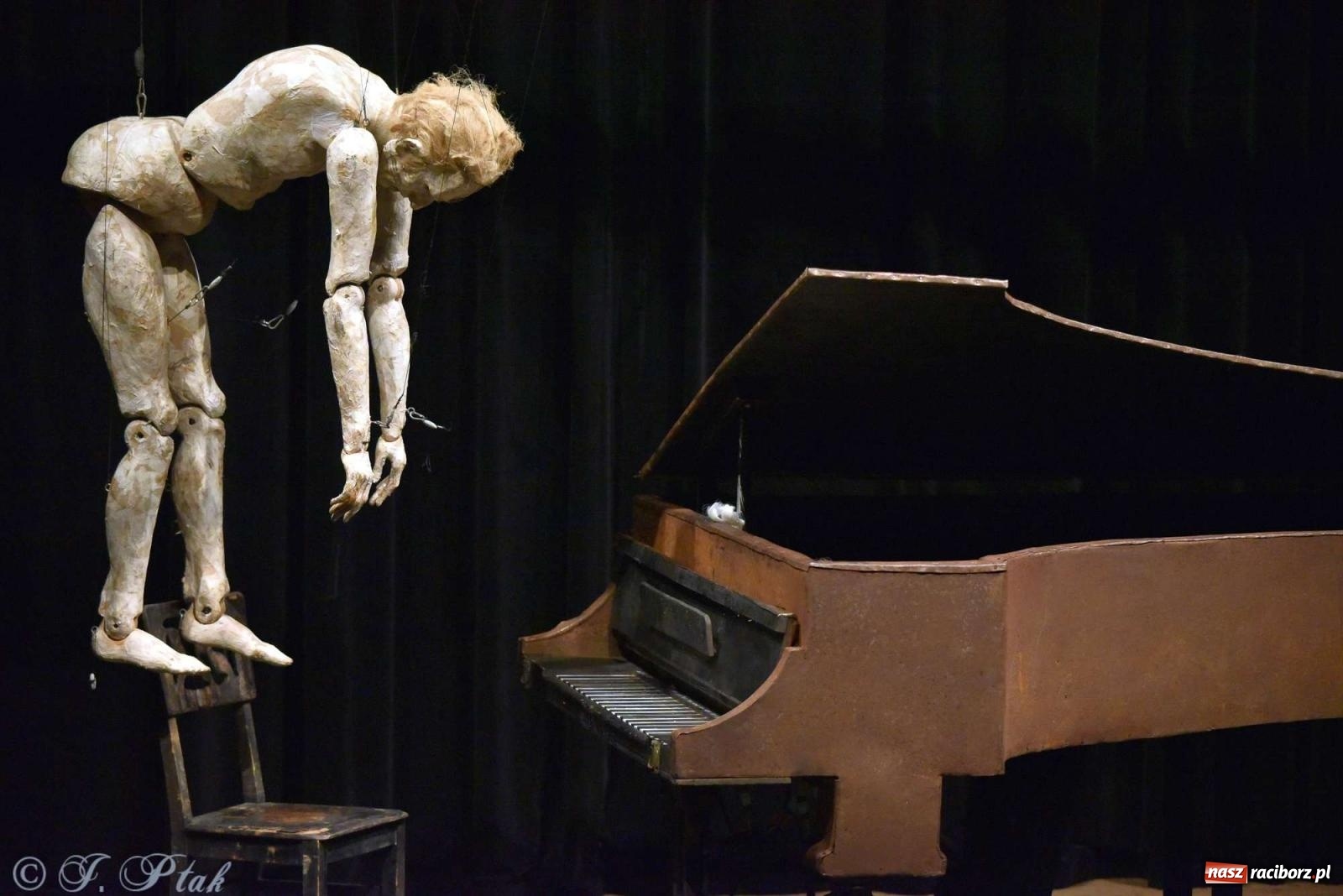 Zdjęcie w galerii na portalu naszraciborz.pl: GOULD, Bach i nadmarioneta na scenie RCK wiadomości z regionu