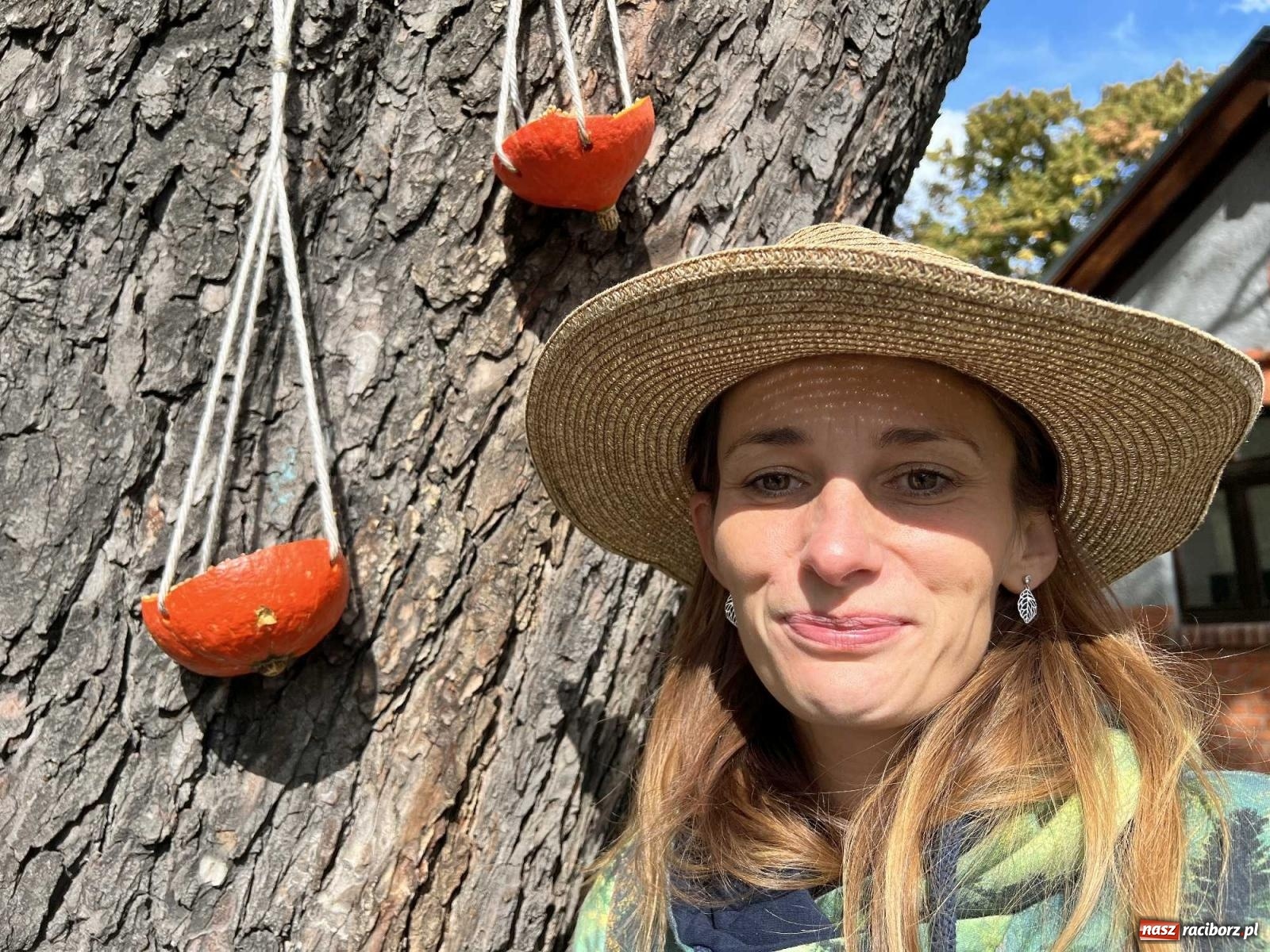 Zdjęcie w galerii na portalu naszraciborz.pl: W Ogródku Jordanowskim trwa dziś Święto Dyni wiadomości z regionu