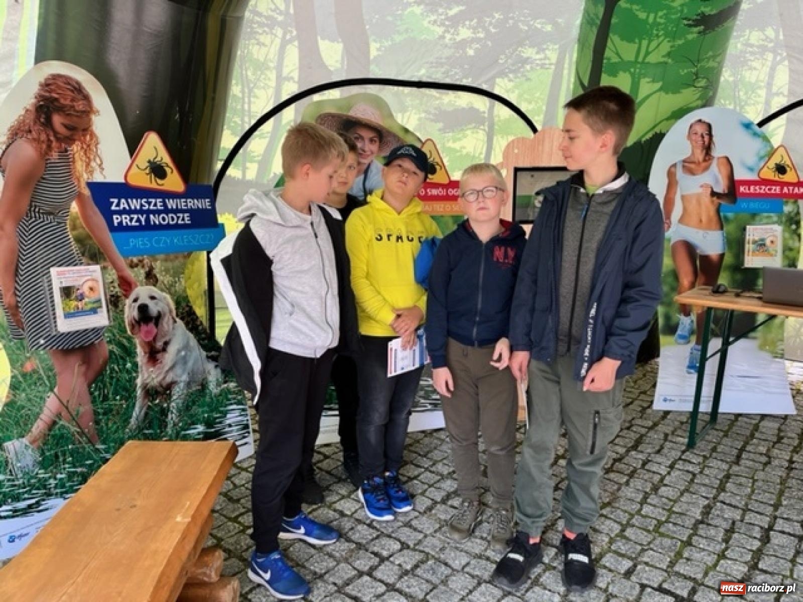 Zdjęcie w galerii na portalu naszraciborz.pl: Bezpieczne grzybobranie na zamku wiadomości z regionu