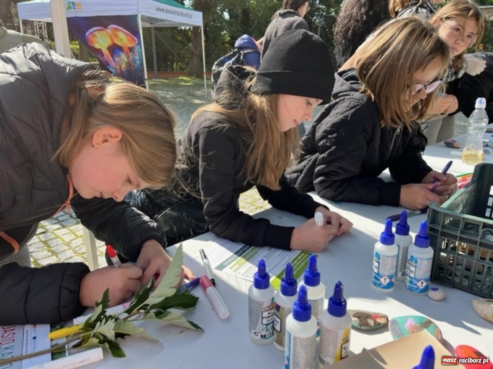 Zdjęcie w galerii na portalu naszraciborz.pl: Bezpieczne grzybobranie na zamku wiadomości z regionu