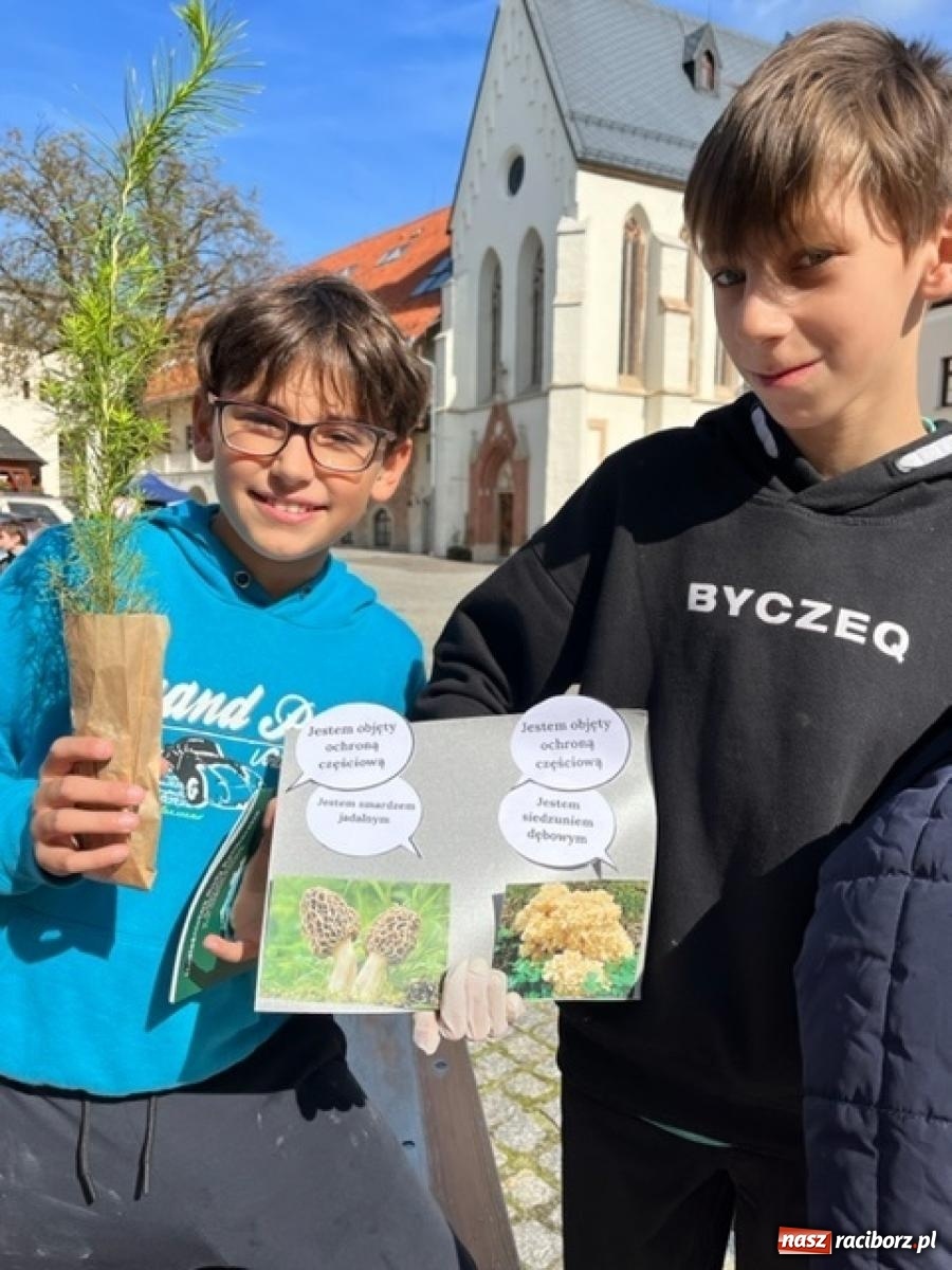 Zdjęcie w galerii na portalu naszraciborz.pl: Bezpieczne grzybobranie na zamku wiadomości z regionu