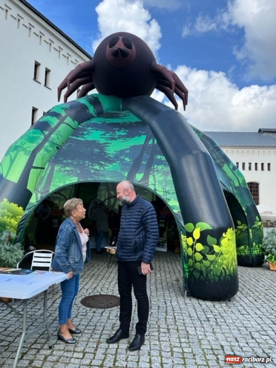 Zdjęcie w galerii na portalu naszraciborz.pl: Bezpieczne grzybobranie na zamku wiadomości z regionu