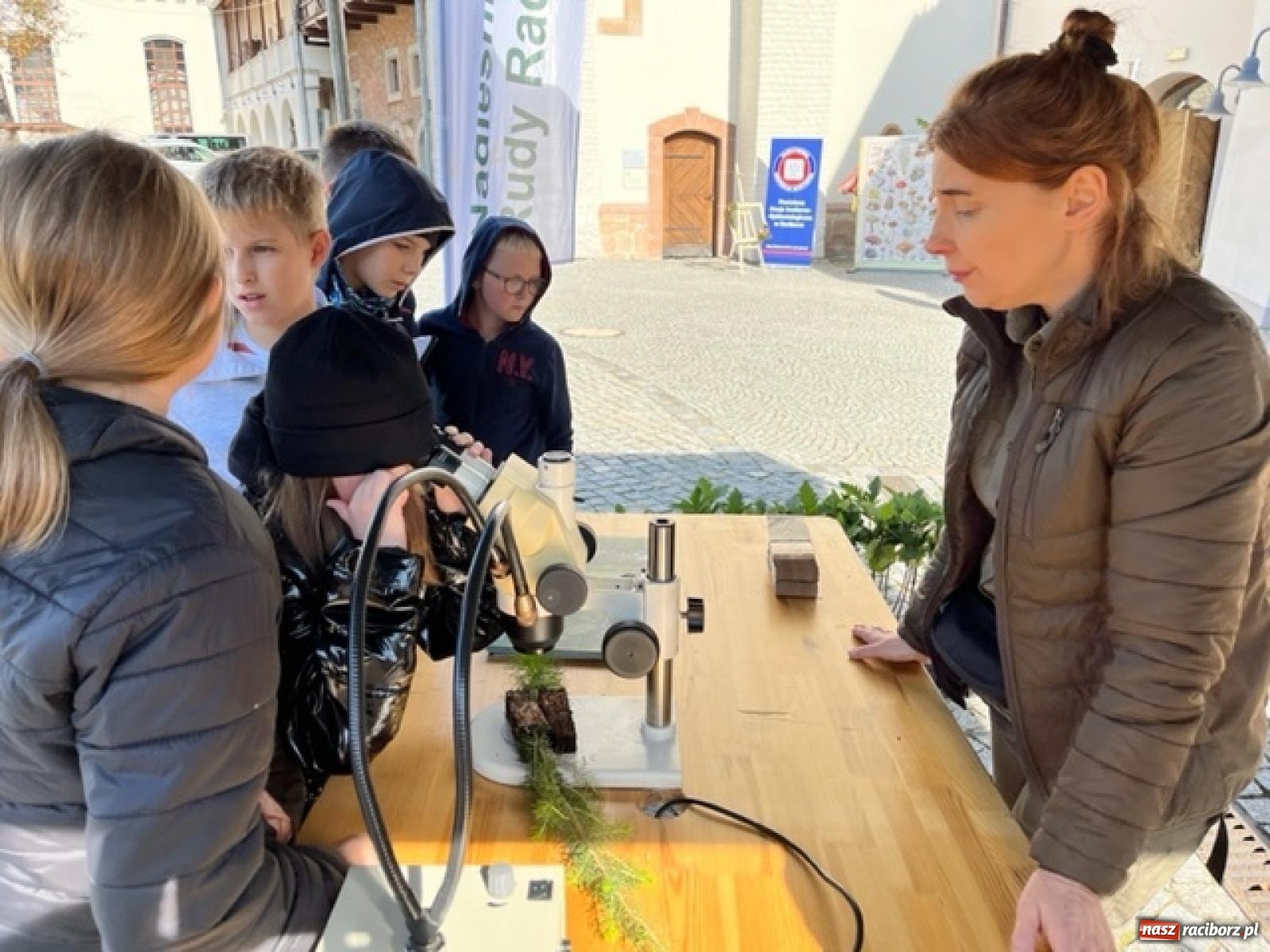Zdjęcie w galerii na portalu naszraciborz.pl: Bezpieczne grzybobranie na zamku wiadomości z regionu