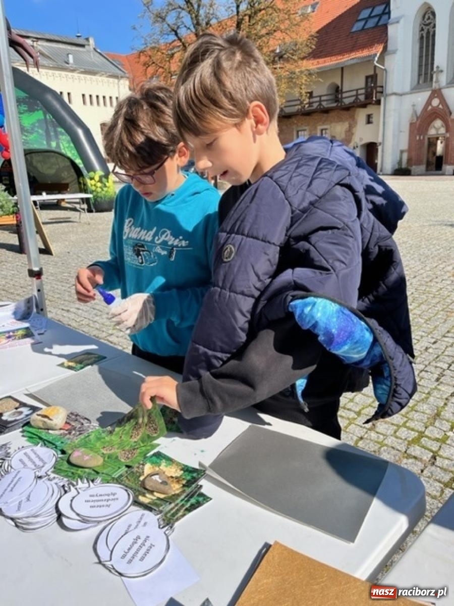 Zdjęcie w galerii na portalu naszraciborz.pl: Bezpieczne grzybobranie na zamku wiadomości z regionu