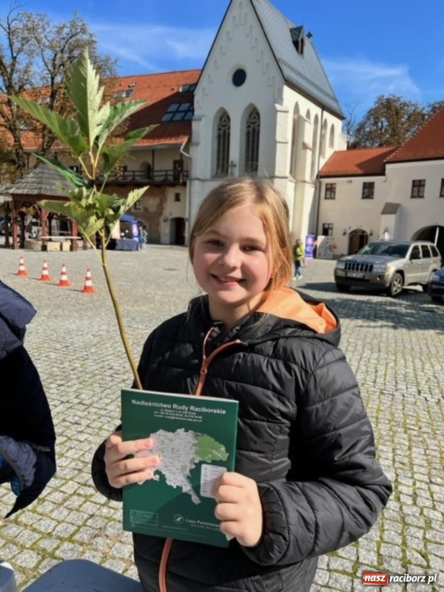 Zdjęcie w galerii na portalu naszraciborz.pl: Bezpieczne grzybobranie na zamku wiadomości z regionu