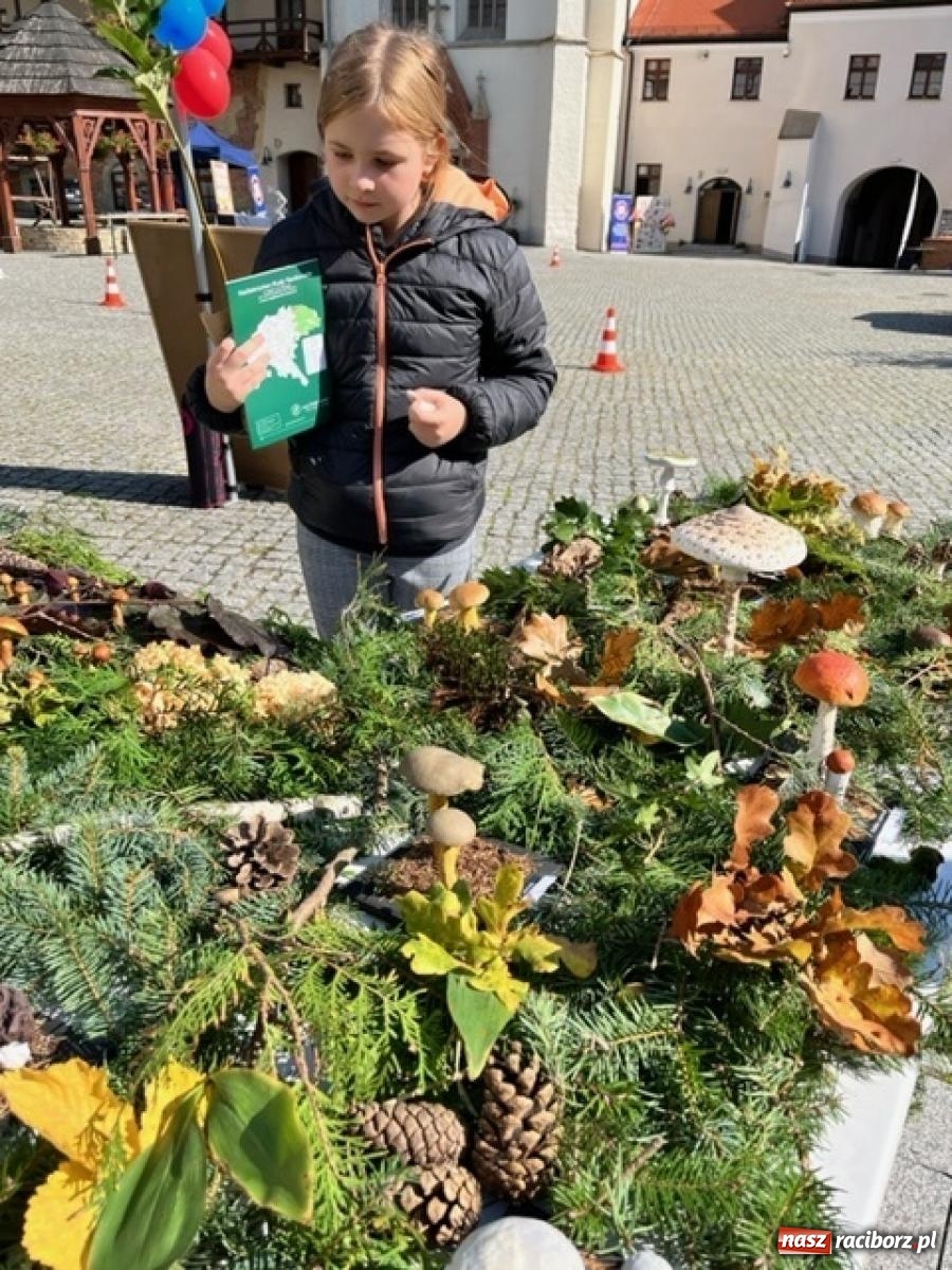 Zdjęcie w galerii na portalu naszraciborz.pl: Bezpieczne grzybobranie na zamku wiadomości z regionu