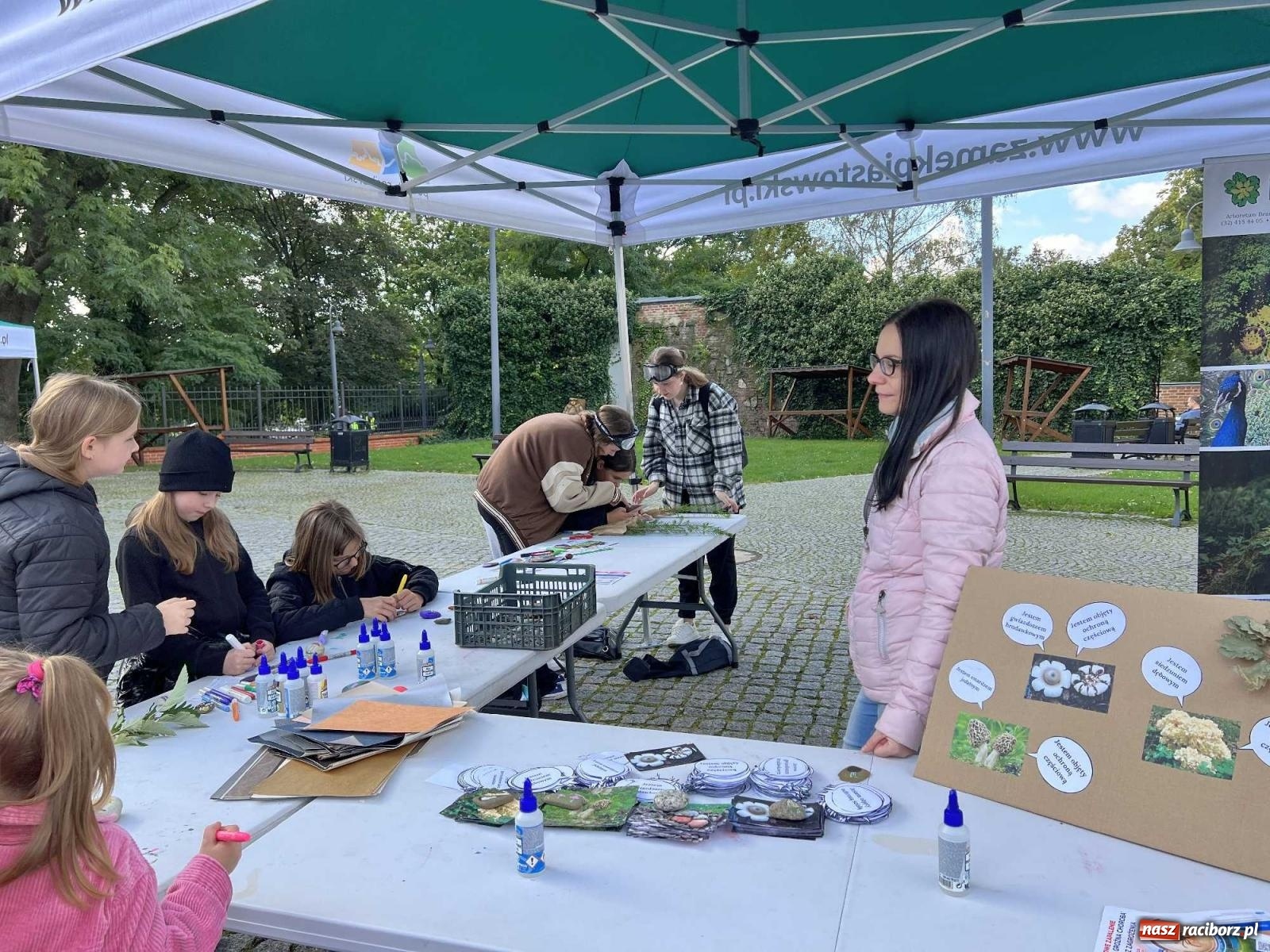 Zdjęcie w galerii na portalu naszraciborz.pl: Bezpieczne grzybobranie na zamku wiadomości z regionu
