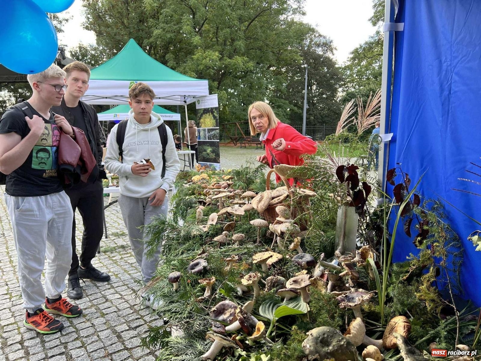 Zdjęcie w galerii na portalu naszraciborz.pl: Bezpieczne grzybobranie na zamku wiadomości z regionu