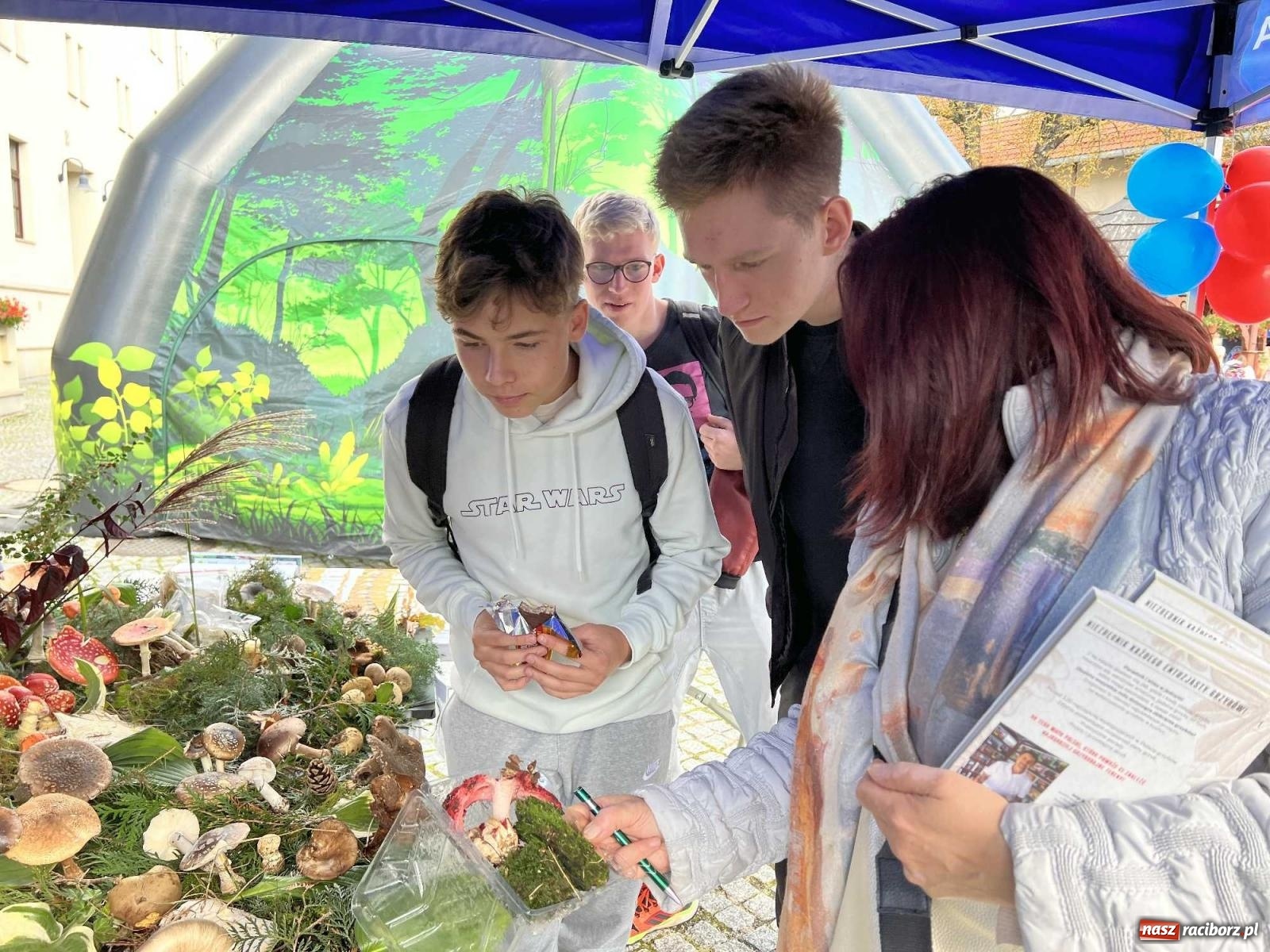 Zdjęcie w galerii na portalu naszraciborz.pl: Bezpieczne grzybobranie na zamku wiadomości z regionu