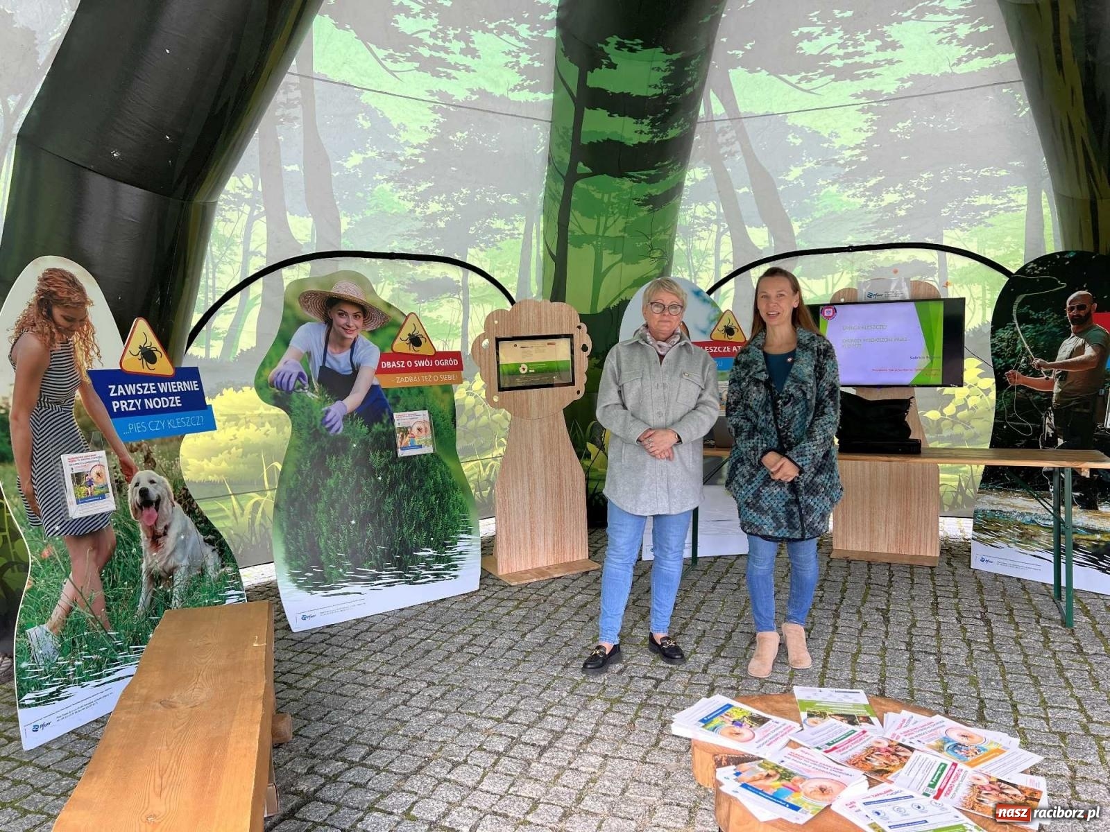 Zdjęcie w galerii na portalu naszraciborz.pl: Bezpieczne grzybobranie na zamku wiadomości z regionu