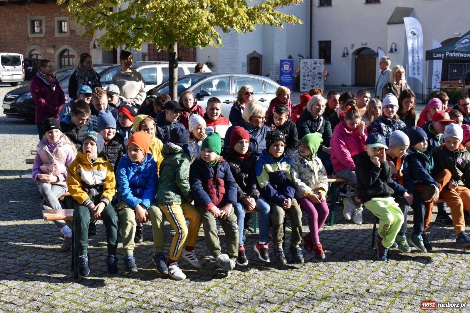 Zdjęcie w galerii na portalu naszraciborz.pl: Bezpieczne grzybobranie na zamku wiadomości z regionu