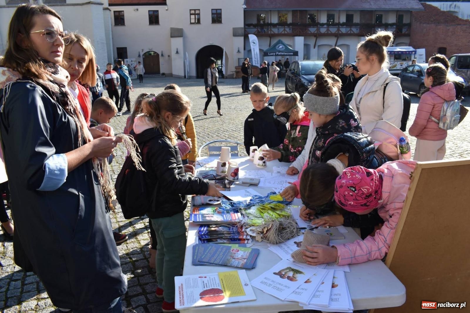 Zdjęcie w galerii na portalu naszraciborz.pl: Bezpieczne grzybobranie na zamku wiadomości z regionu