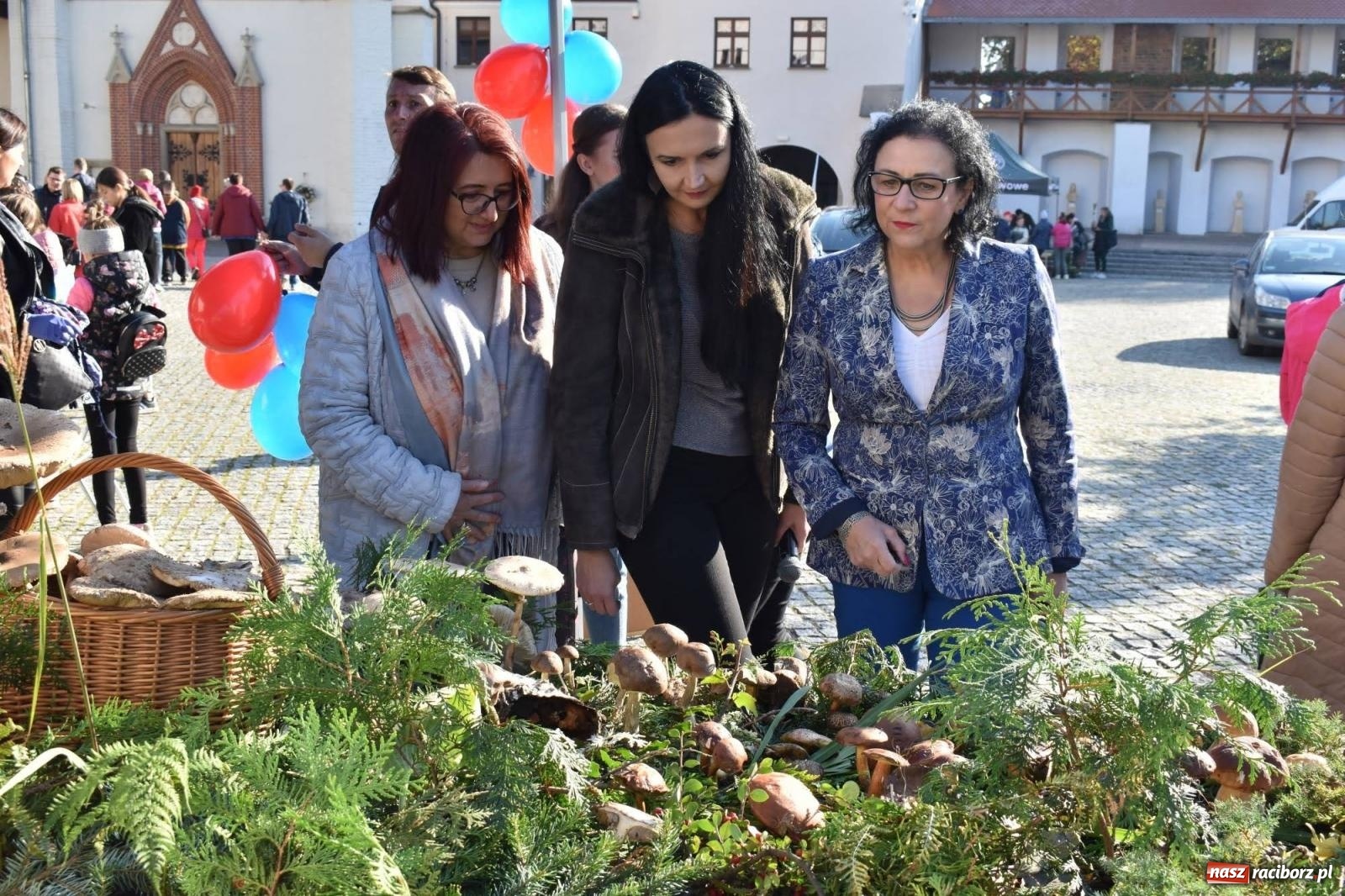 Zdjęcie w galerii na portalu naszraciborz.pl: Bezpieczne grzybobranie na zamku wiadomości z regionu
