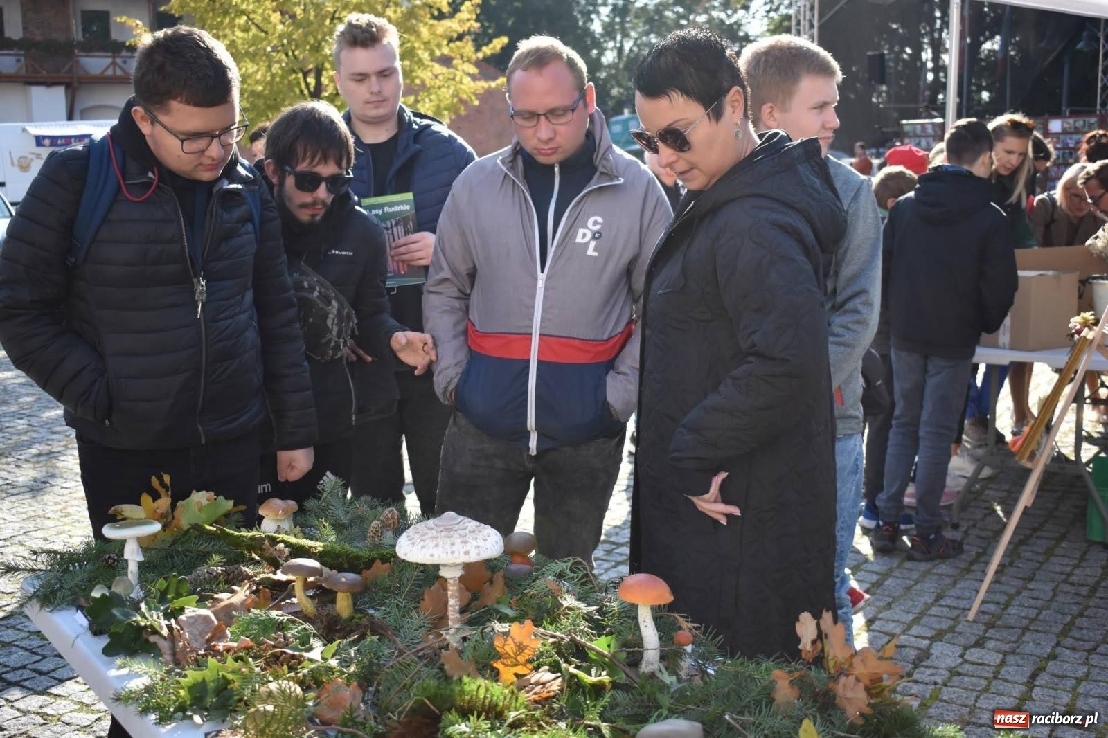 Zdjęcie w galerii na portalu naszraciborz.pl: Bezpieczne grzybobranie na zamku wiadomości z regionu