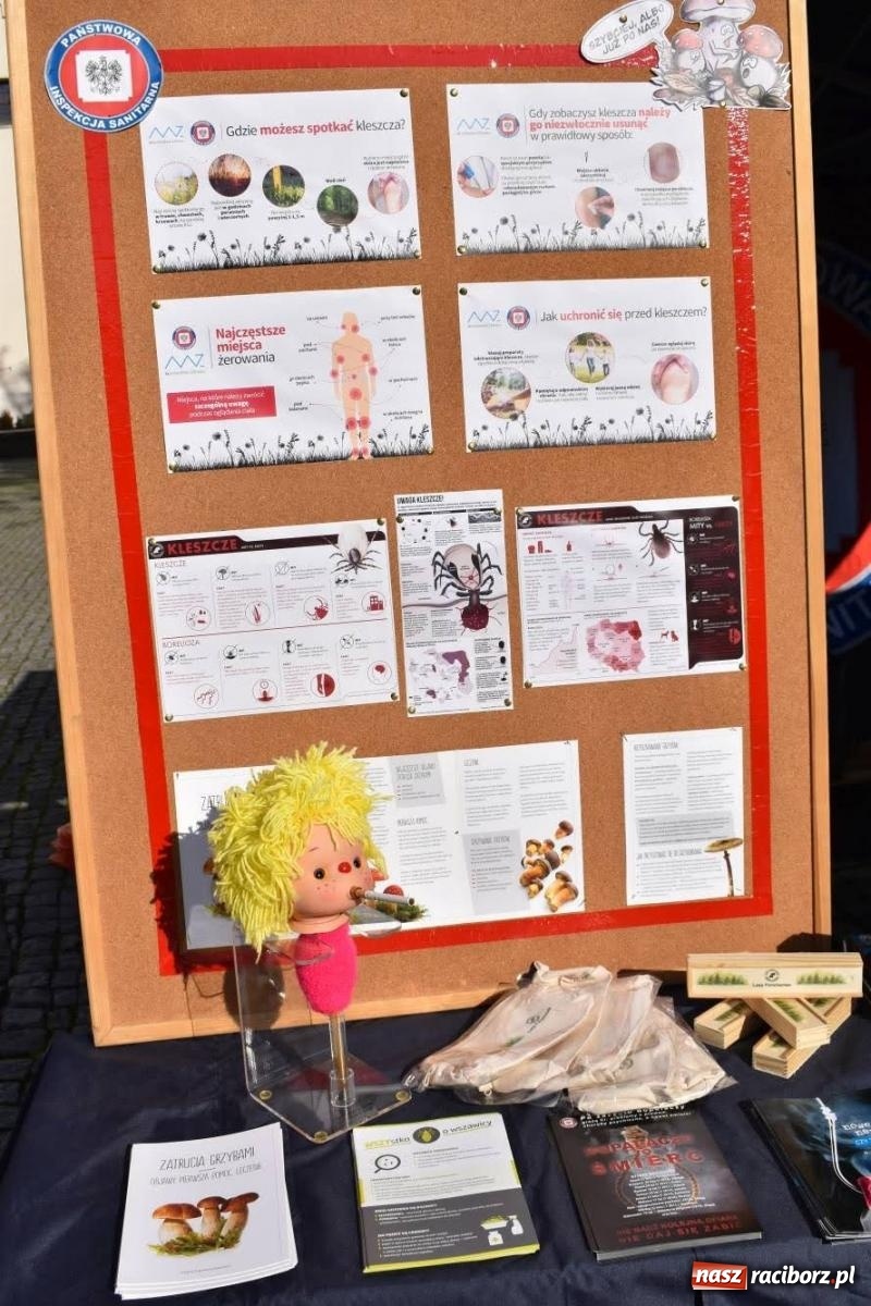 Zdjęcie w galerii na portalu naszraciborz.pl: Bezpieczne grzybobranie na zamku wiadomości z regionu