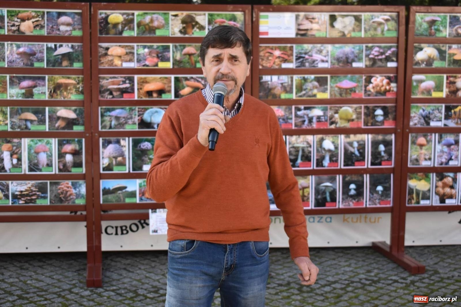 Zdjęcie w galerii na portalu naszraciborz.pl: Bezpieczne grzybobranie na zamku wiadomości z regionu