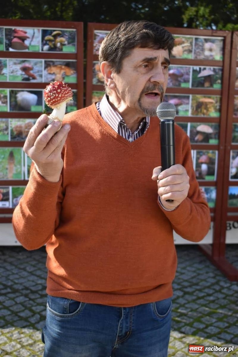 Zdjęcie w galerii na portalu naszraciborz.pl: Bezpieczne grzybobranie na zamku wiadomości z regionu