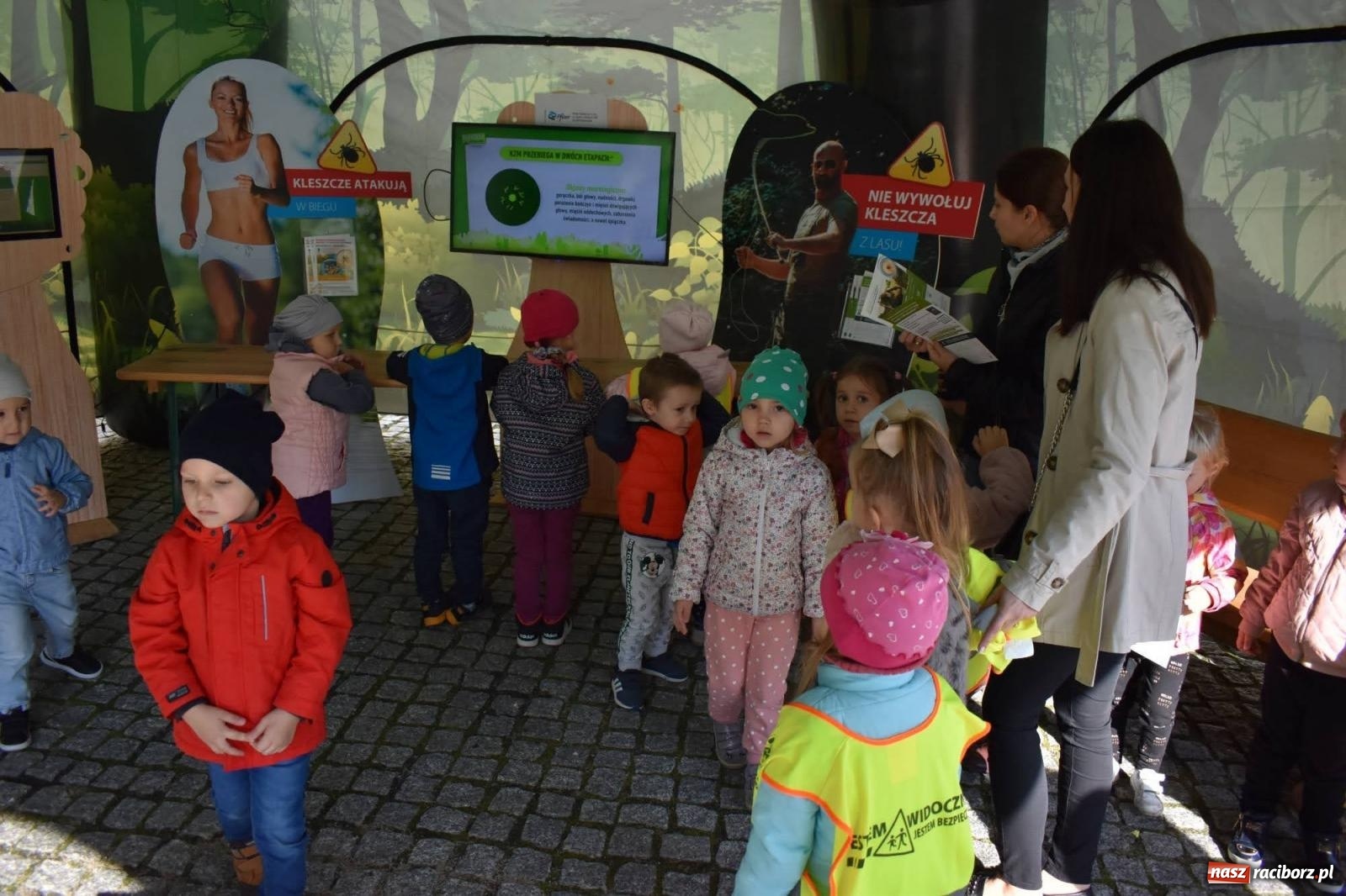 Zdjęcie w galerii na portalu naszraciborz.pl: Bezpieczne grzybobranie na zamku wiadomości z regionu