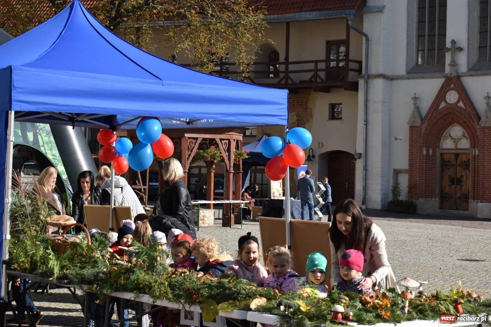 Zdjęcie w galerii na portalu naszraciborz.pl: Bezpieczne grzybobranie na zamku wiadomości z regionu