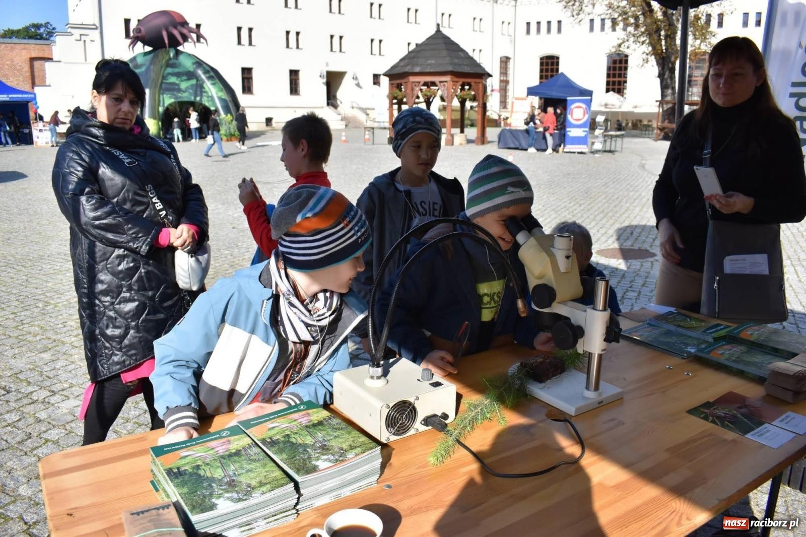Zdjęcie w galerii na portalu naszraciborz.pl: Bezpieczne grzybobranie na zamku wiadomości z regionu