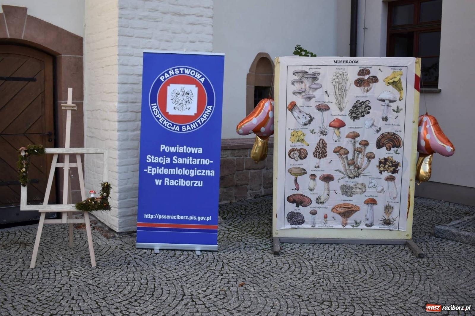 Zdjęcie w galerii na portalu naszraciborz.pl: Bezpieczne grzybobranie na zamku wiadomości z regionu