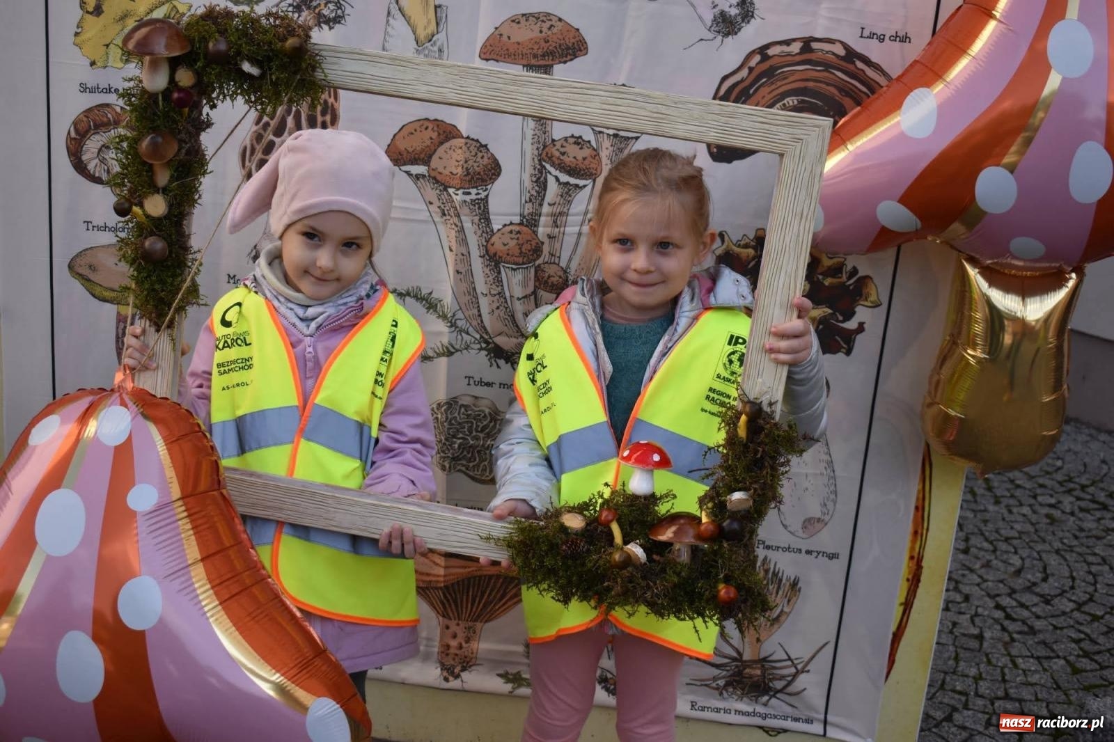 Zdjęcie w galerii na portalu naszraciborz.pl: Bezpieczne grzybobranie na zamku wiadomości z regionu