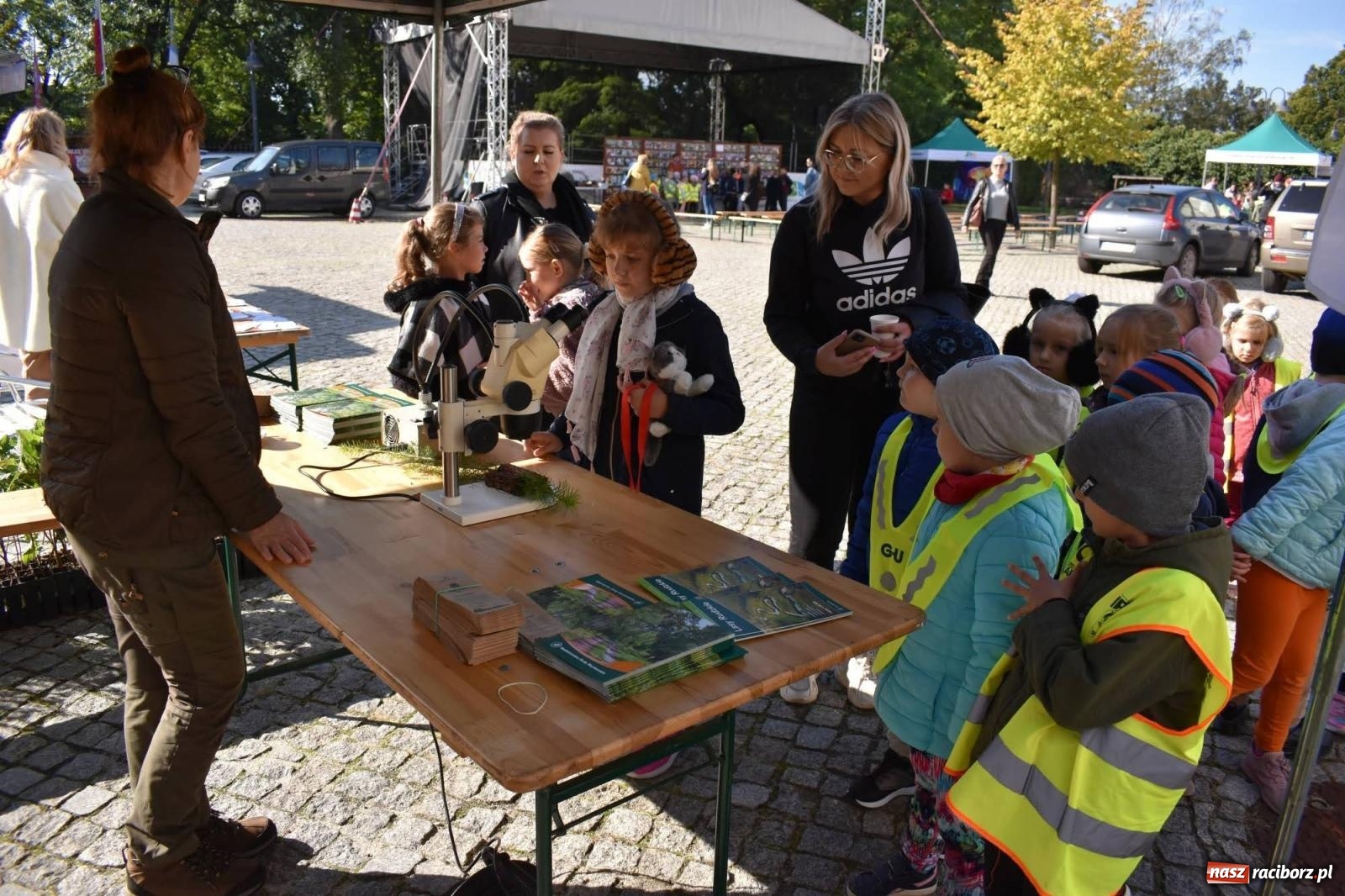 Zdjęcie w galerii na portalu naszraciborz.pl: Bezpieczne grzybobranie na zamku wiadomości z regionu