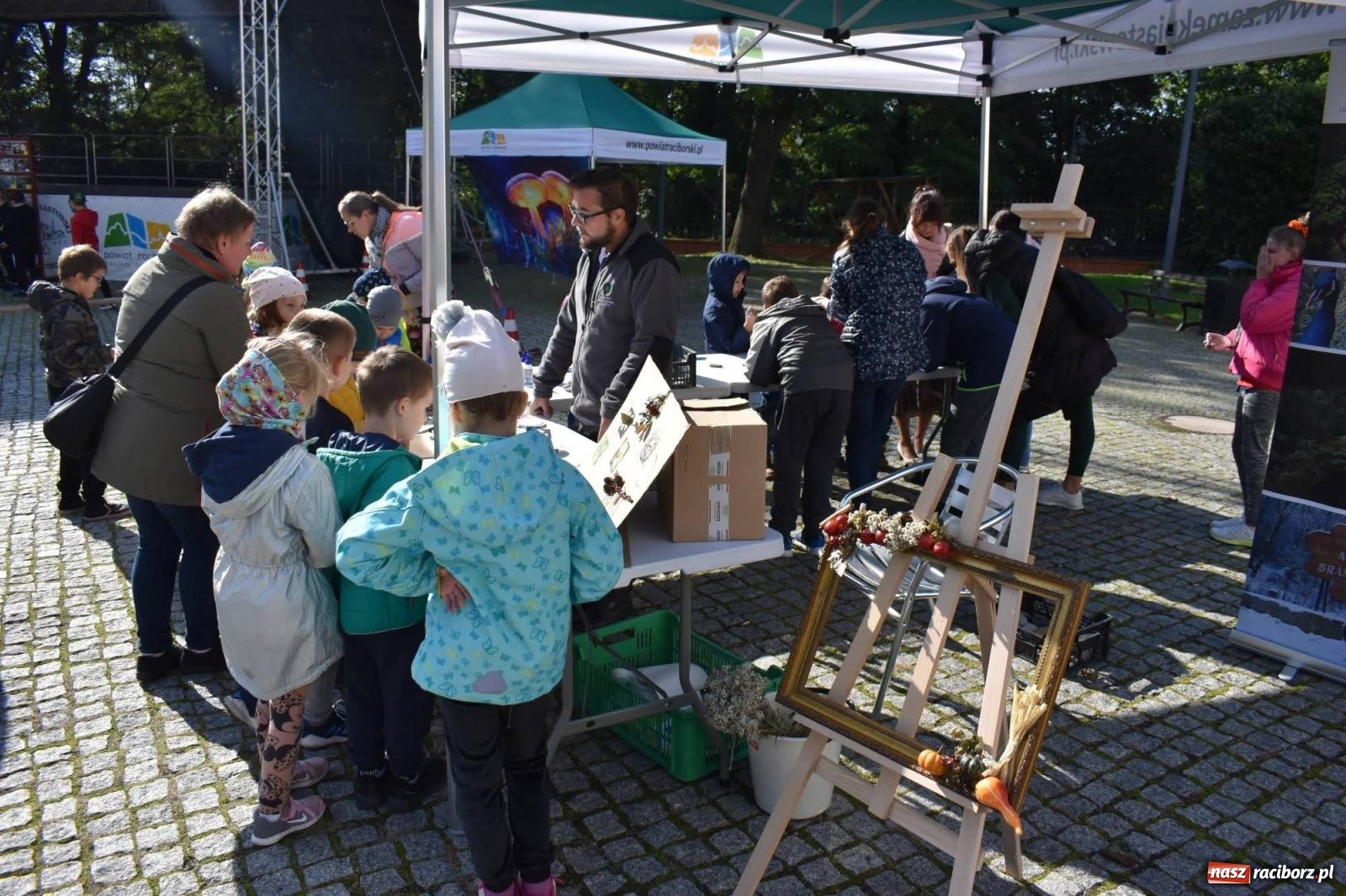 Zdjęcie w galerii na portalu naszraciborz.pl: Bezpieczne grzybobranie na zamku wiadomości z regionu