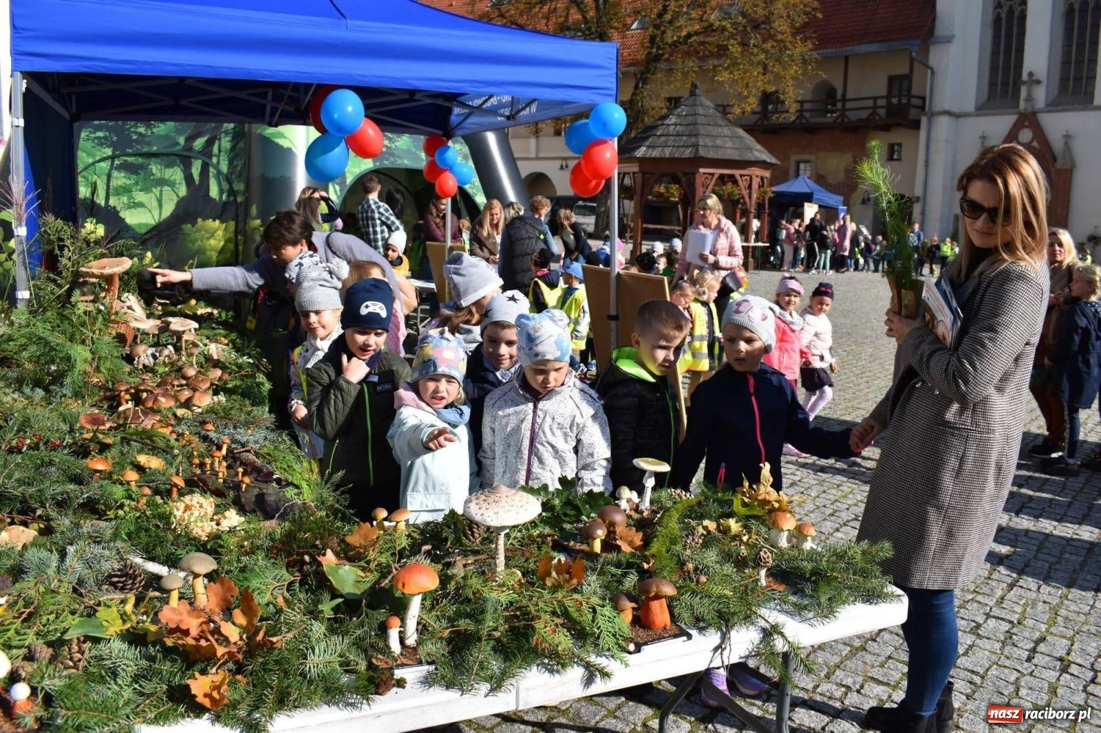 Zdjęcie w galerii na portalu naszraciborz.pl: Bezpieczne grzybobranie na zamku wiadomości z regionu