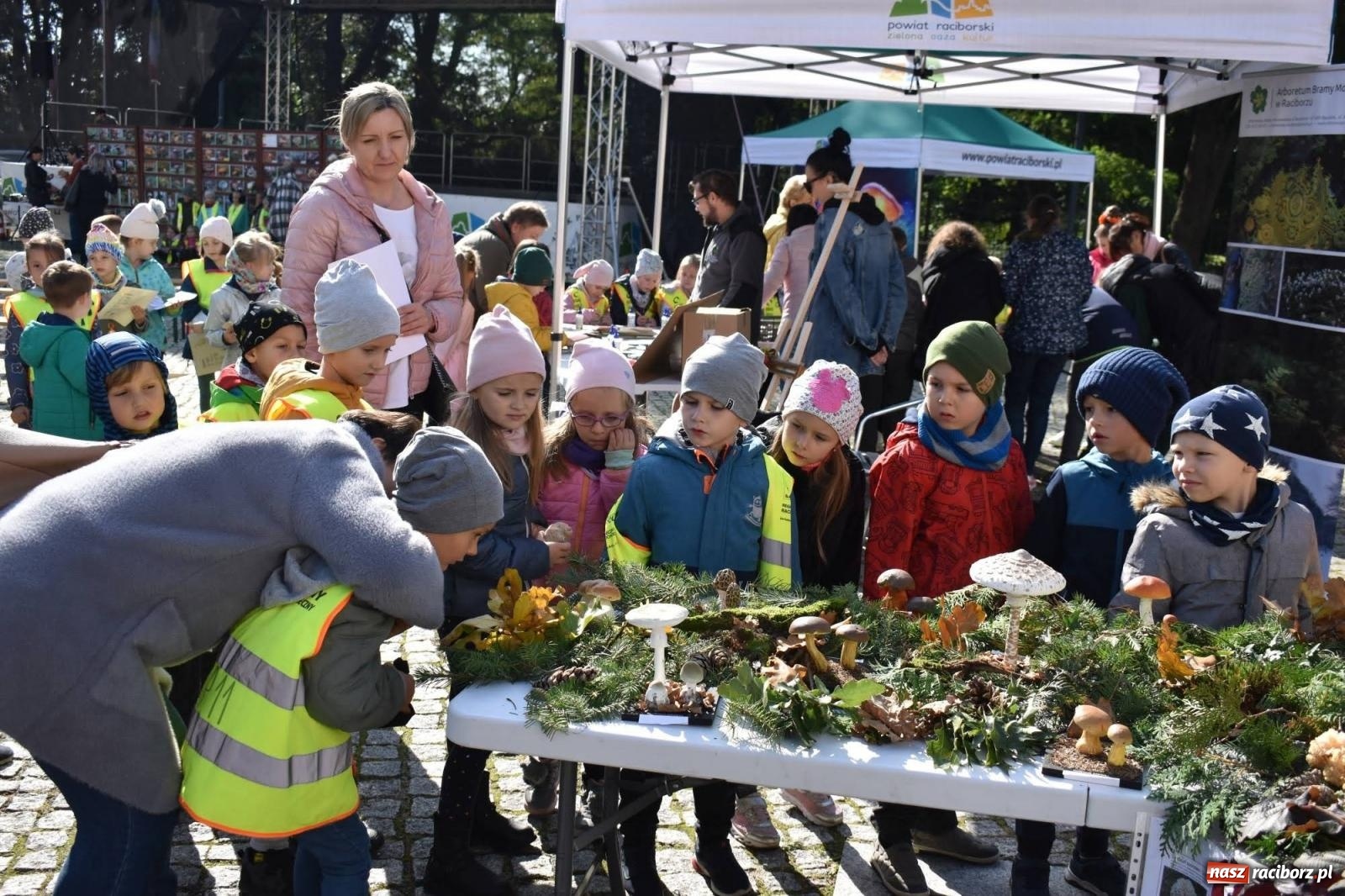 Zdjęcie w galerii na portalu naszraciborz.pl: Bezpieczne grzybobranie na zamku wiadomości z regionu