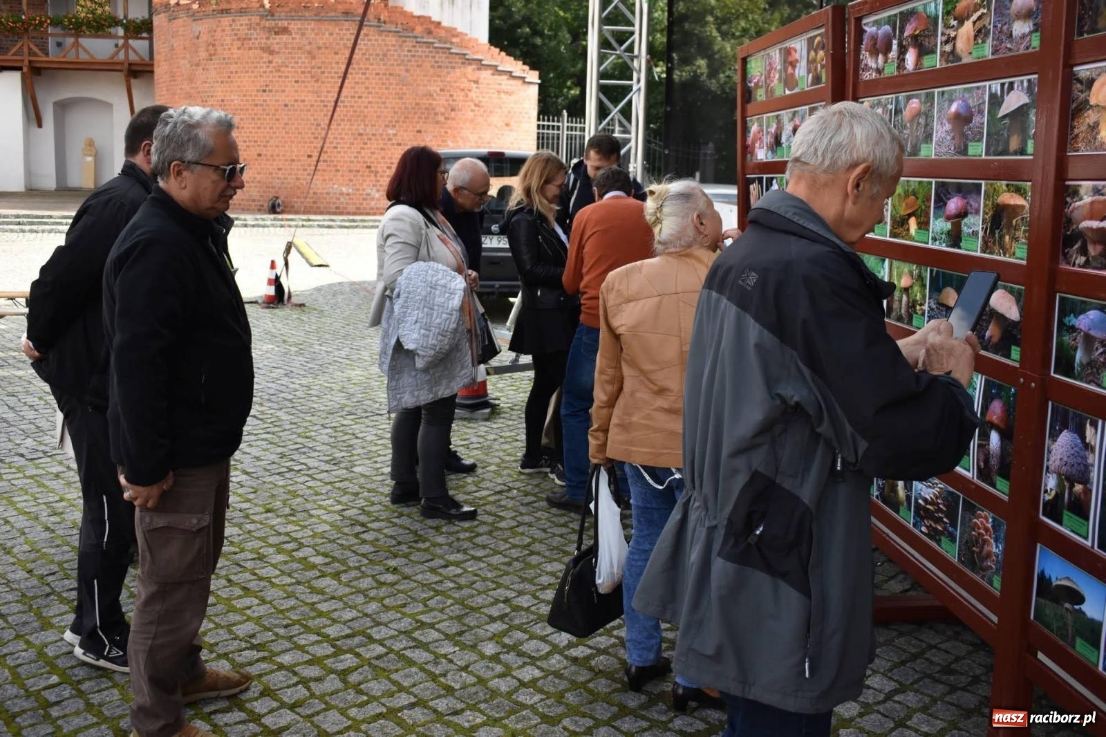 Zdjęcie w galerii na portalu naszraciborz.pl: Bezpieczne grzybobranie na zamku wiadomości z regionu
