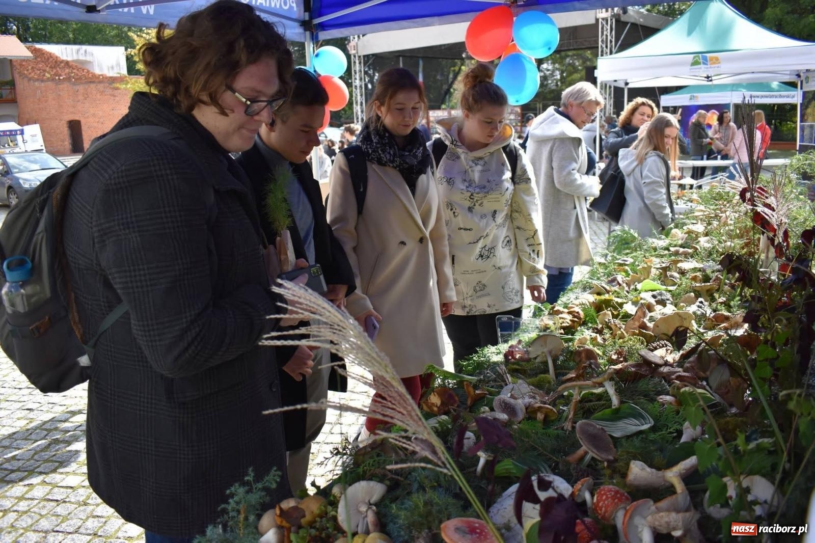 Zdjęcie w galerii na portalu naszraciborz.pl: Bezpieczne grzybobranie na zamku wiadomości z regionu