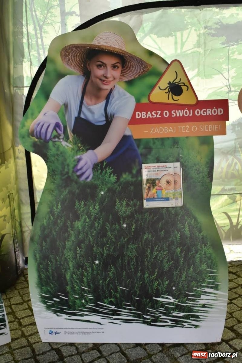 Zdjęcie w galerii na portalu naszraciborz.pl: Bezpieczne grzybobranie na zamku wiadomości z regionu