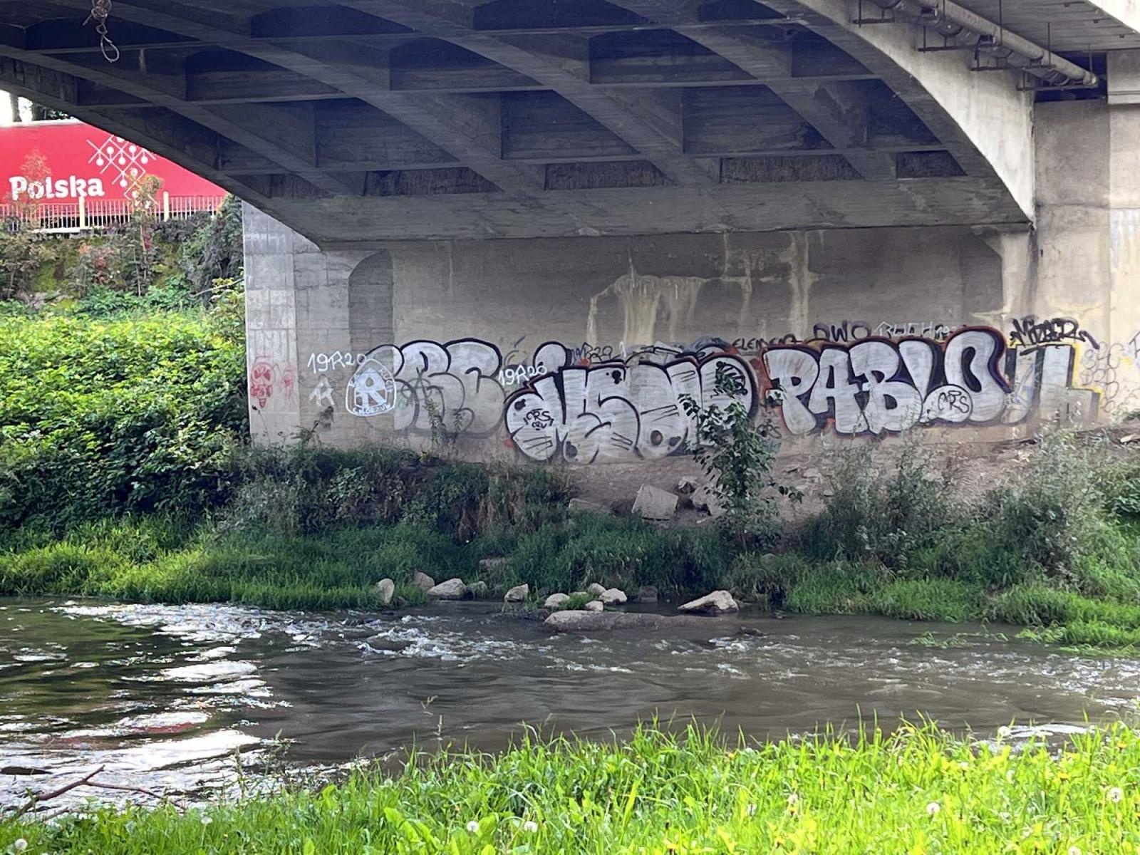 Zdjęcie w galerii na portalu naszraciborz.pl: Racibórz ma kolejny mural wiadomości z regionu