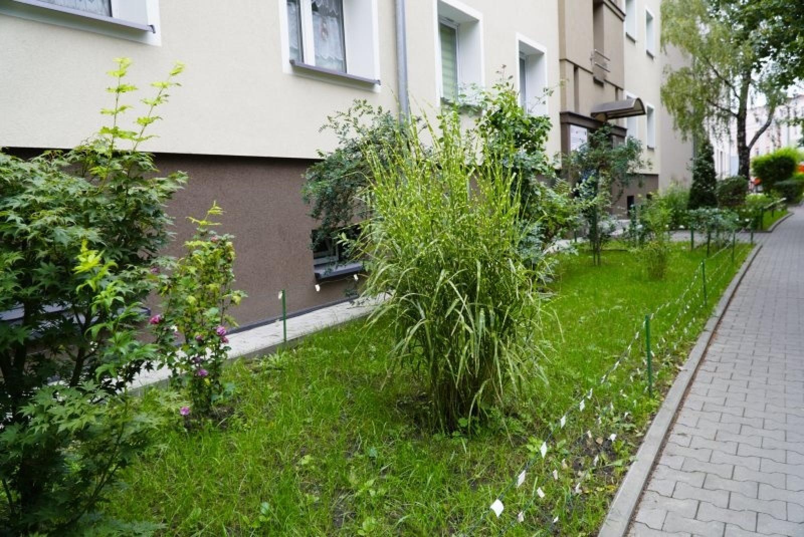 Zdjęcie w galerii na portalu naszraciborz.pl: Pan Andrzej złota rączka. Tchnął życie w ulicę M. Skłodowskiej wiadomości z regionu