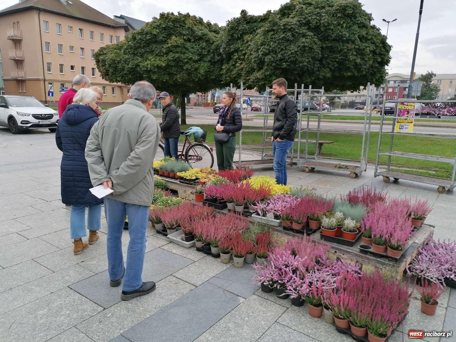 Zdjęcie w galerii na portalu naszraciborz.pl: Kto rano wstaje, ten kwiatek dostaje. Trwa zbiórka elektrośmieci wiadomości z regionu