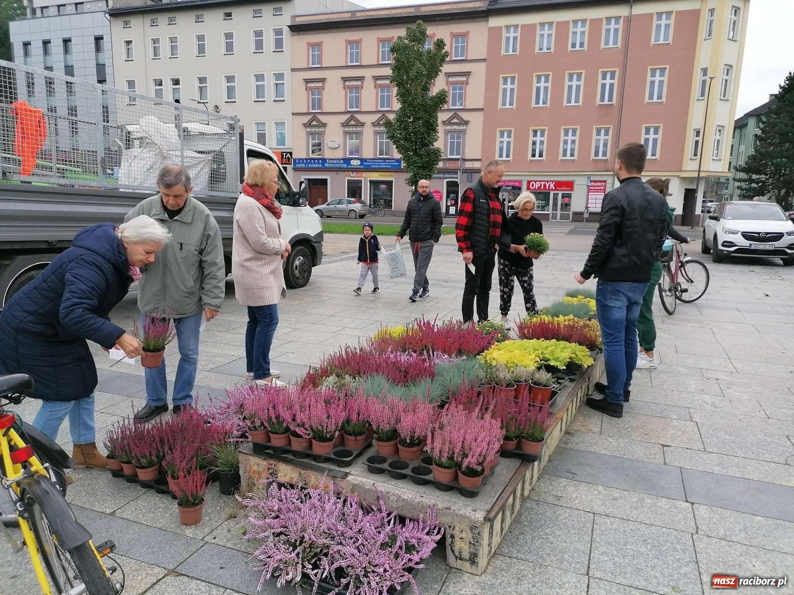Zdjęcie w galerii na portalu naszraciborz.pl: Kto rano wstaje, ten kwiatek dostaje. Trwa zbiórka elektrośmieci wiadomości z regionu