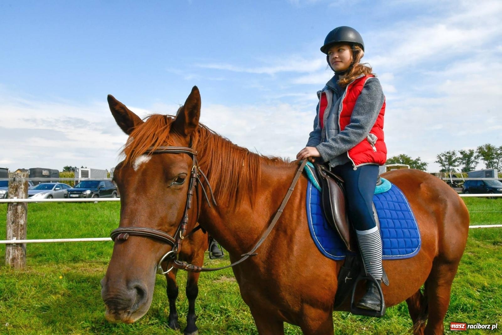 Zdjęcie w galerii na portalu naszraciborz.pl: Ponad sto koni na żerdzińskim Hubertusie [FOTO i WIDEO] wiadomości z regionu
