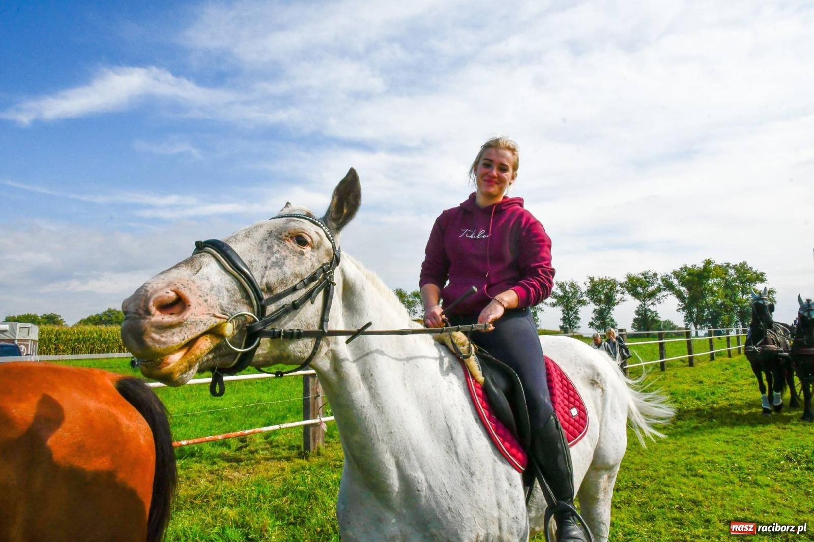 Zdjęcie w galerii na portalu naszraciborz.pl: Ponad sto koni na żerdzińskim Hubertusie [FOTO i WIDEO] wiadomości z regionu