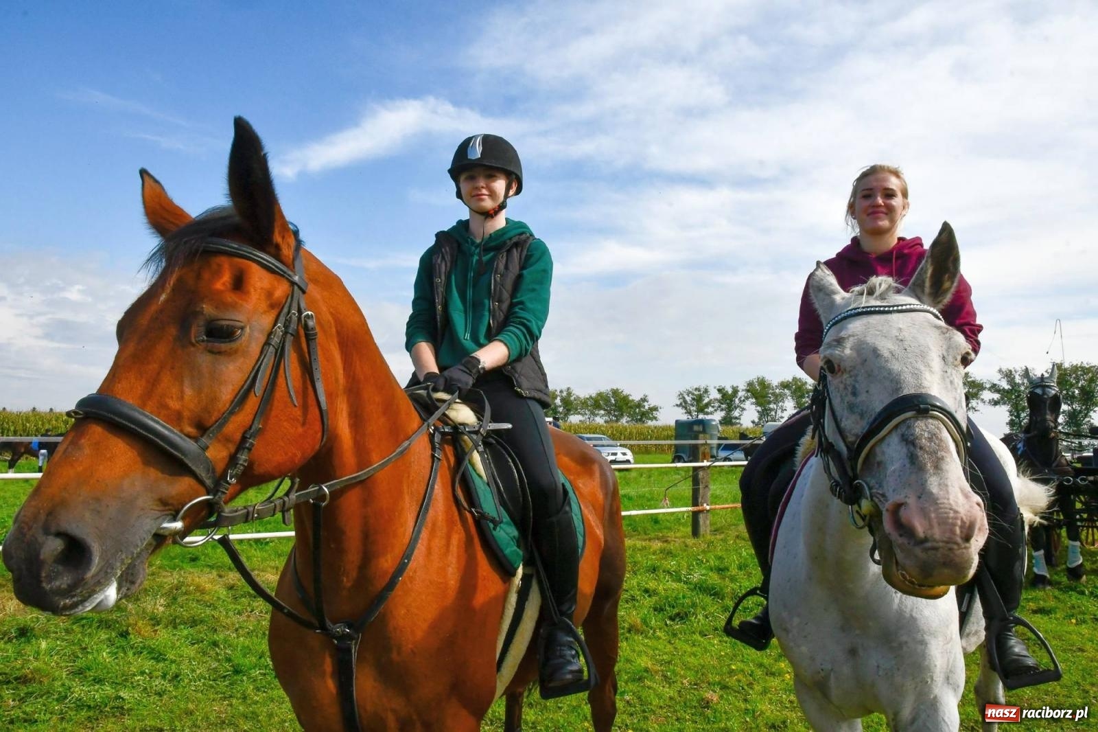 Zdjęcie w galerii na portalu naszraciborz.pl: Ponad sto koni na żerdzińskim Hubertusie [FOTO i WIDEO] wiadomości z regionu
