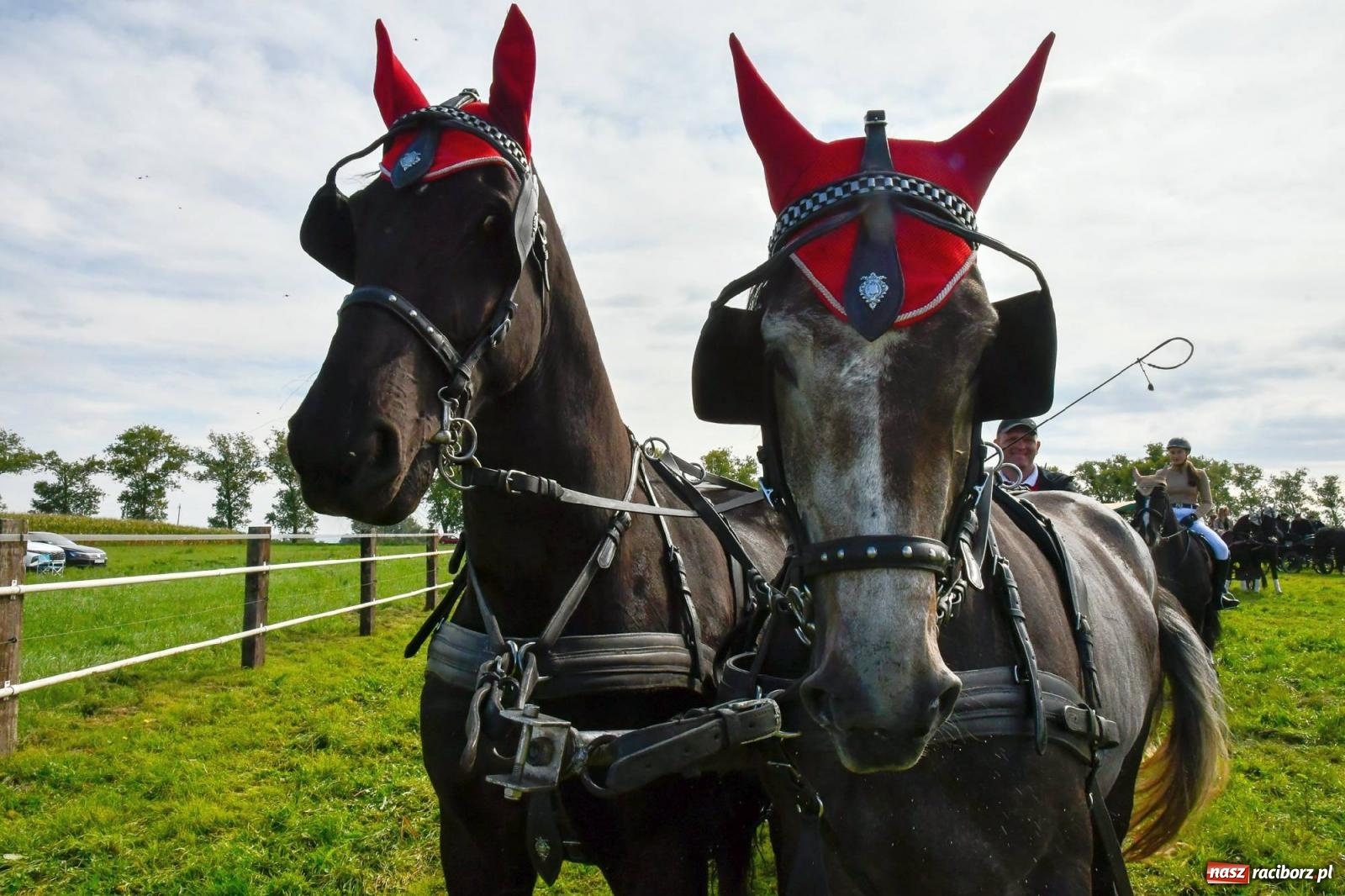 Zdjęcie w galerii na portalu naszraciborz.pl: Ponad sto koni na żerdzińskim Hubertusie [FOTO i WIDEO] wiadomości z regionu