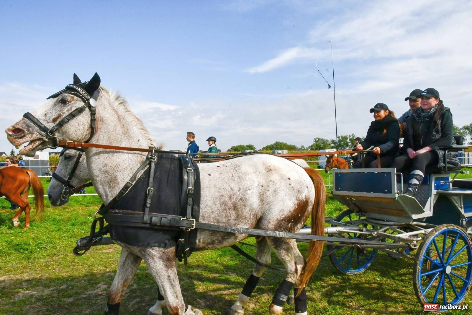 Zdjęcie w galerii na portalu naszraciborz.pl: Ponad sto koni na żerdzińskim Hubertusie [FOTO i WIDEO] wiadomości z regionu