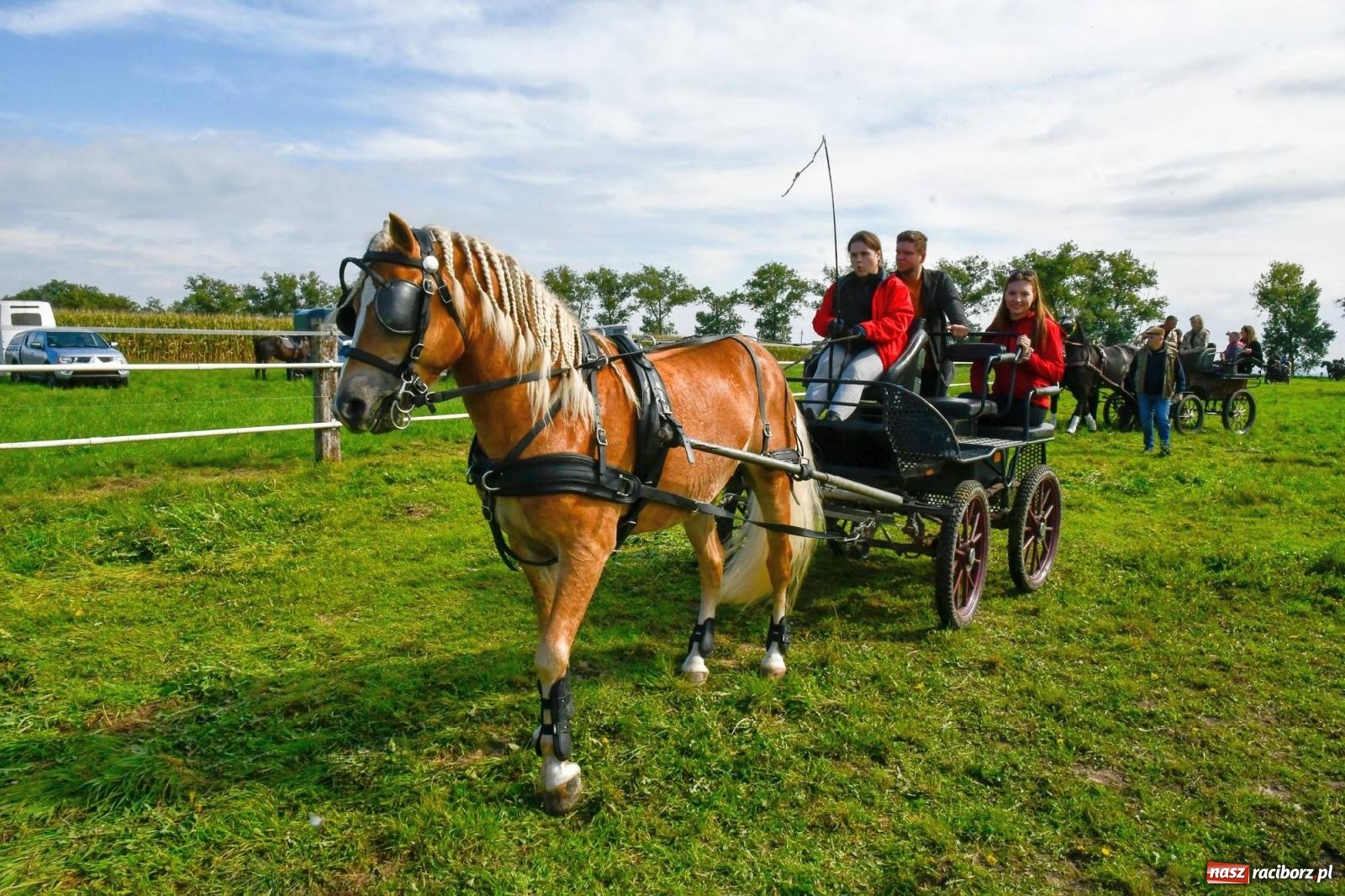 Zdjęcie w galerii na portalu naszraciborz.pl: Ponad sto koni na żerdzińskim Hubertusie [FOTO i WIDEO] wiadomości z regionu