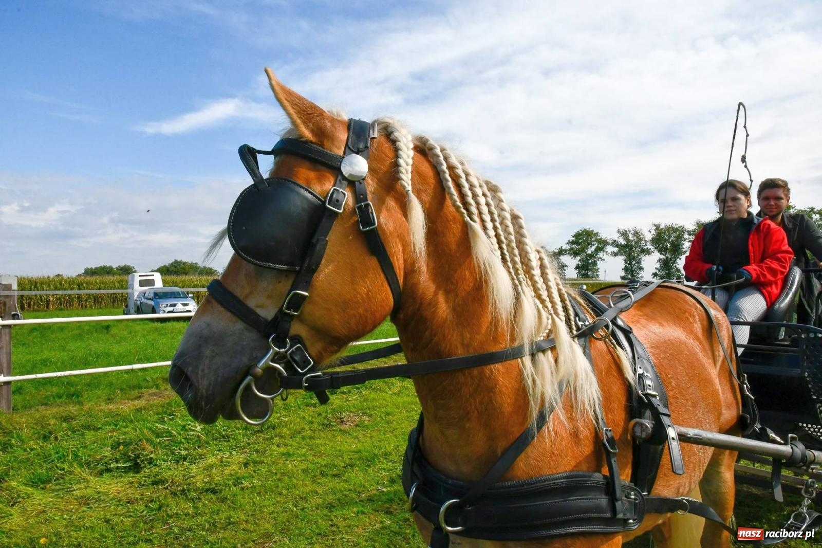 Zdjęcie w galerii na portalu naszraciborz.pl: Ponad sto koni na żerdzińskim Hubertusie [FOTO i WIDEO] wiadomości z regionu